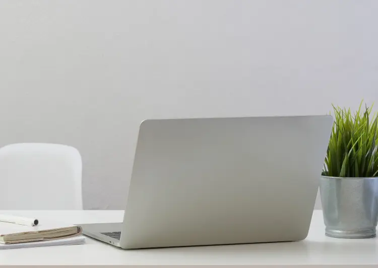 Laptop and plant on a minimal desk